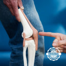 Colágeno Tipo 2 Não desnaturado Suplemento Mastigável Sabor Limão Daily Nutrition